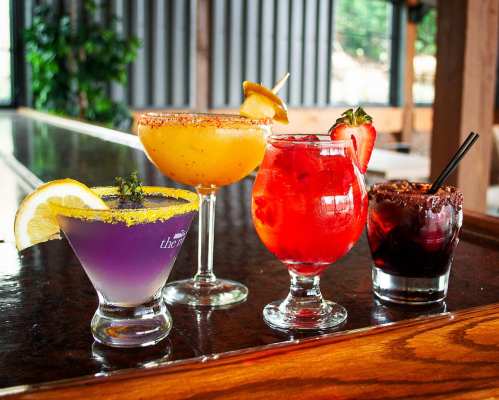 Four colorful cocktails on a wooden bar: a purple drink, a margarita, a red drink, and a dark chocolate cocktail.