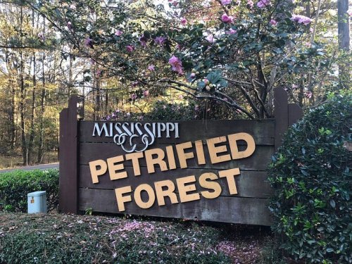 Sign for Mississippi Petrified Forest, featuring large wooden letters and surrounded by trees and flowers.