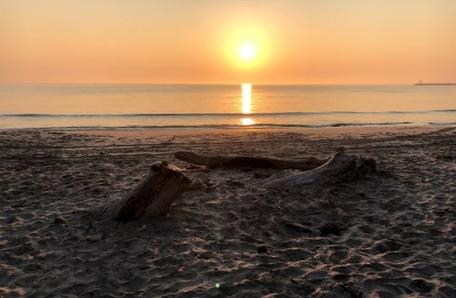 A serene beach at sunset, with a glowing sun reflecting on calm waters and driftwood on the sandy shore.