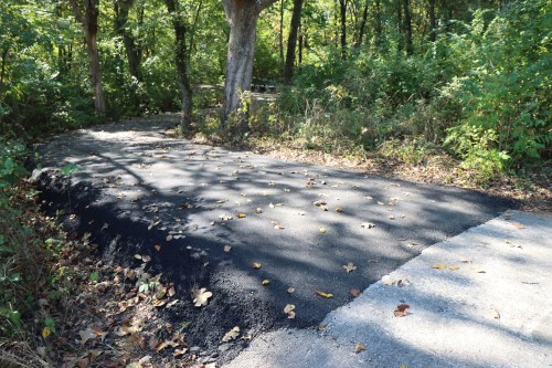 A newly paved section of a trail surrounded by trees and scattered leaves on the ground.