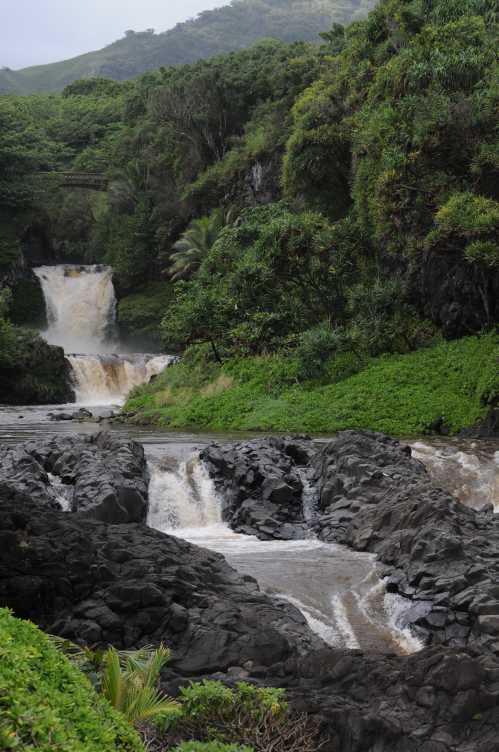 A lush green landscape featuring cascading waterfalls and rocky riverbeds surrounded by dense vegetation.