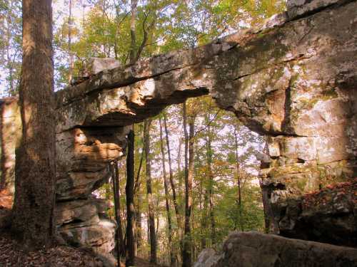 A natural stone arch surrounded by trees with autumn foliage, creating a serene forest scene.