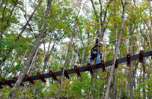 A person walks across a suspended bridge among trees with autumn foliage, showcasing an outdoor adventure setting.