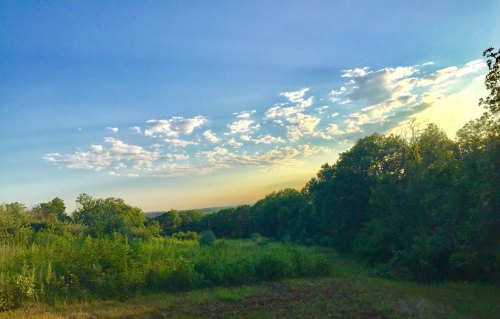 A serene landscape featuring lush greenery under a blue sky with scattered clouds at sunset.