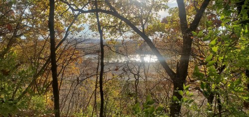 A serene view through trees, showcasing autumn foliage and a shimmering body of water in the distance.