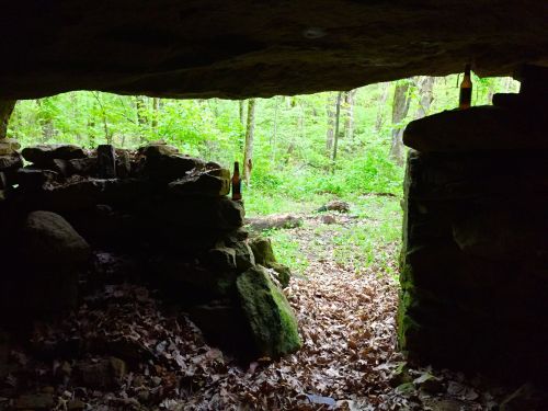 View from inside a cave, showing a green forest and scattered leaves outside, with bottles placed on the rock ledge.