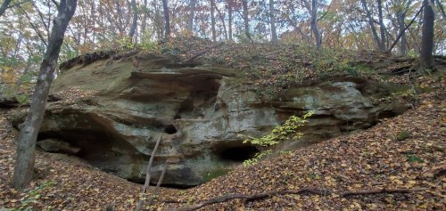 A rocky cliff covered in autumn leaves, surrounded by trees in a forest setting.