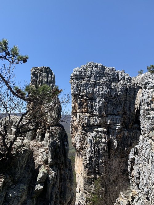 Rocky cliffs rise against a clear blue sky, with sparse trees dotting the rugged landscape.