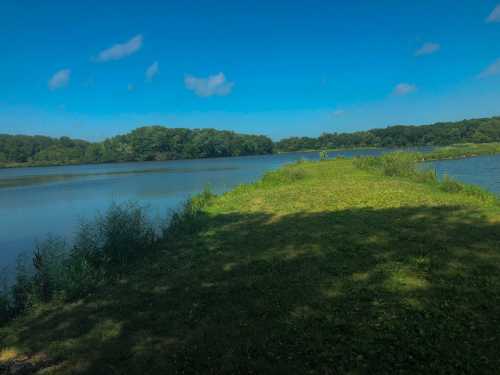 A serene riverbank scene with lush green grass and trees under a clear blue sky.