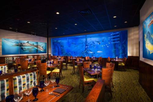 A vibrant restaurant interior featuring wooden tables, blue glassware, and a large aquarium with various fish.