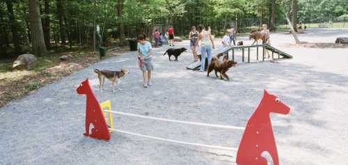 A dog park scene with people walking dogs and playing on agility equipment in a wooded area.