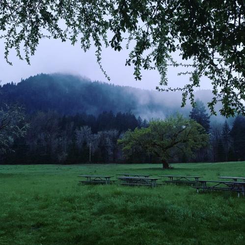 A misty landscape featuring green grass, picnic tables, and a backdrop of mountains and trees under a cloudy sky.