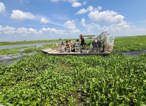 A group of people on an airboat navigating through lush green wetlands under a blue sky with fluffy clouds.