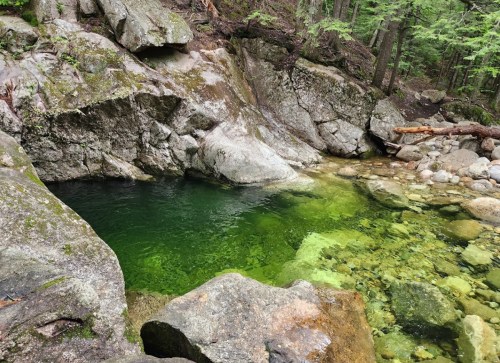 A serene natural pool surrounded by rocks and lush greenery, with clear water reflecting the forest.