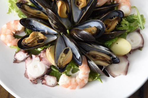 A vibrant seafood platter featuring mussels, shrimp, octopus, and greens arranged beautifully on a white plate.