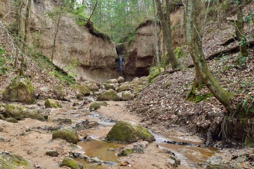 A serene forest scene with a rocky stream, surrounded by trees and a small waterfall in the background.