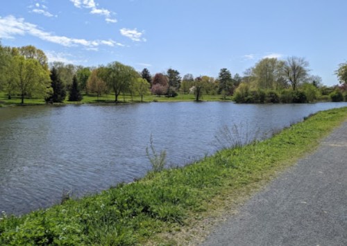 A serene lake surrounded by lush greenery and trees under a clear blue sky. A path runs alongside the water.