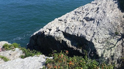 Rocky cliff edge overlooking a calm blue sea, with greenery at the base and sunlight reflecting on the water.