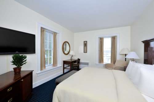 Cozy hotel room with a bed, TV, desk, and two windows, featuring light-colored walls and a plant on the dresser.