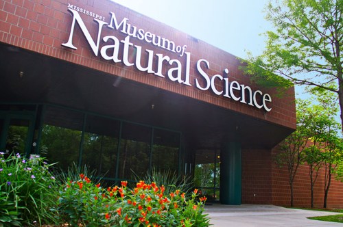Exterior view of the Mississippi Museum of Natural Science, featuring a brick facade and colorful flower beds.