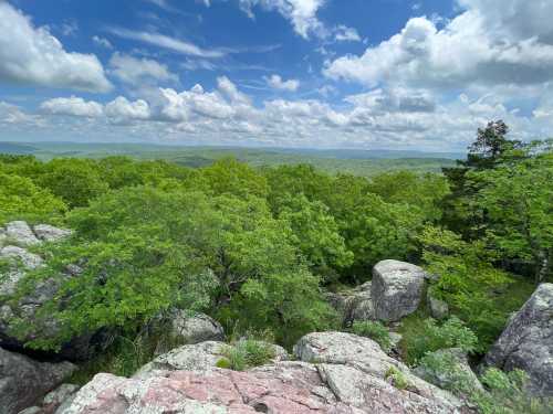 A panoramic view from a rocky outcrop, showcasing lush green trees and a cloudy blue sky in the background.