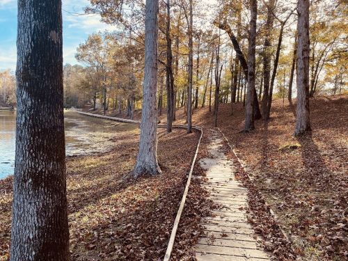 A wooden path winds through a forest of autumn trees beside a calm lake, with fallen leaves covering the ground.