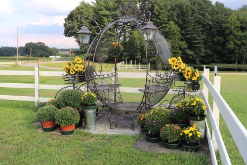 A decorative metal gazebo surrounded by potted flowers and sunflowers, set in a grassy area with trees in the background.