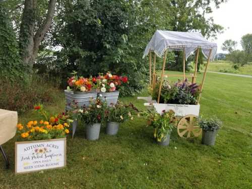 A flower stand with colorful blooms in buckets and a cart, set in a grassy area with trees in the background.