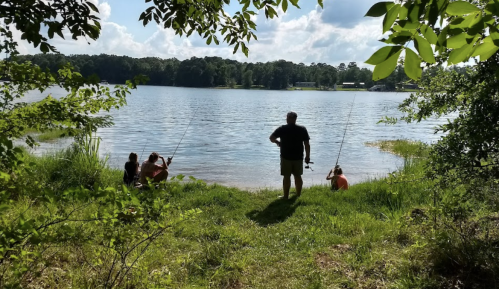 A group of people fishing by a lake, surrounded by greenery and trees under a bright sky.
