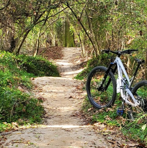 A mountain bike rests on a dirt path surrounded by lush greenery and trees.