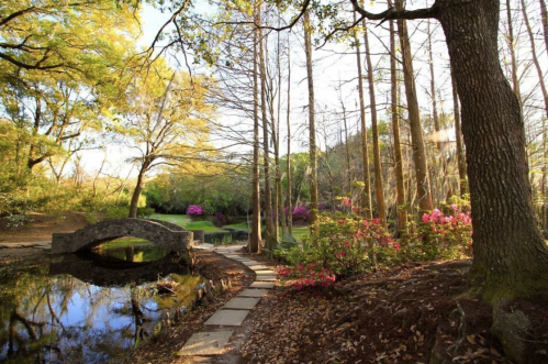 A serene park scene featuring a stone bridge over a pond, surrounded by trees and blooming flowers in vibrant colors.