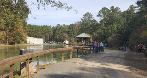 A peaceful lakeside scene with a path, wooden railing, and people gathered near a gazebo surrounded by trees.