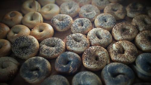 A variety of bagels, some plain and others topped with seeds, arranged closely on a wooden surface.