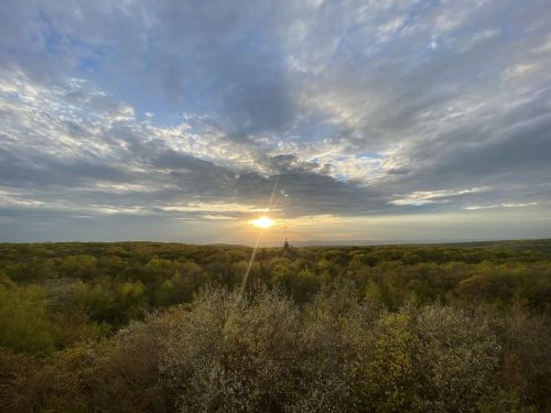 A serene landscape at sunset, with vibrant trees and a cloudy sky illuminating the horizon.