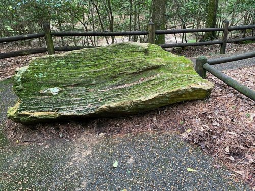 A large, moss-covered rock sits beside a gravel path, surrounded by trees and a wooden fence.