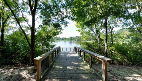 A wooden walkway leads to a serene lake, surrounded by lush greenery and trees under a clear sky.