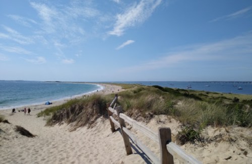 A sandy beach with gentle waves, grassy dunes, and a clear blue sky, leading to a distant shoreline and boats.