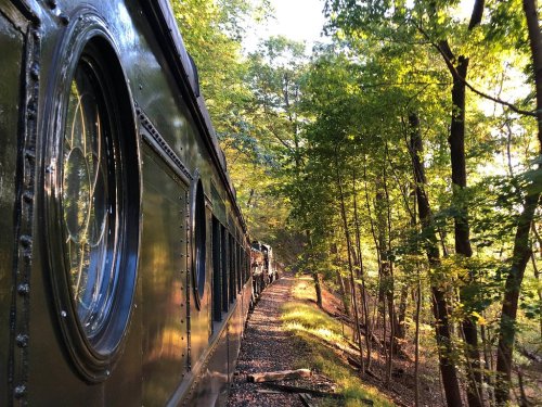 A vintage train car alongside a forested path, with sunlight filtering through the trees.