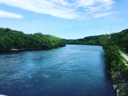 A serene river flows through lush green trees under a clear blue sky.