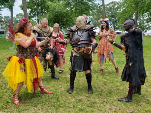 A group of fantasy characters in colorful costumes engage in a playful standoff in a grassy outdoor setting.