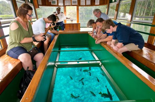 A group of people on a boat observe fish swimming in a clear underwater tank. A captain is visible in the background.