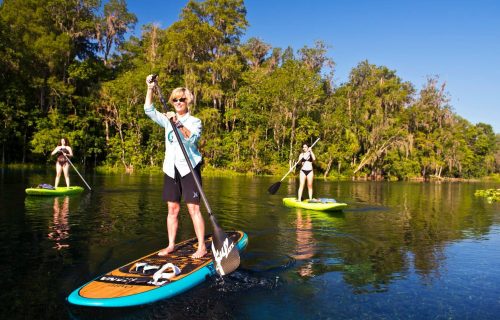 Three people paddleboarding on a calm lake surrounded by lush greenery under a clear blue sky.