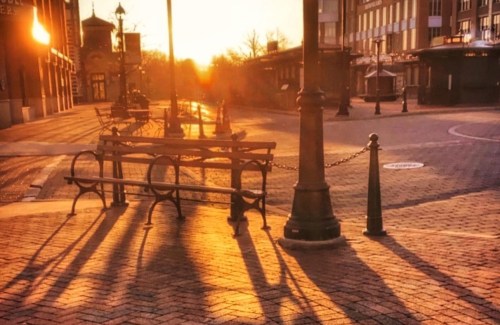 A sunset casts long shadows on a quiet street with benches and lampposts, creating a warm, serene atmosphere.