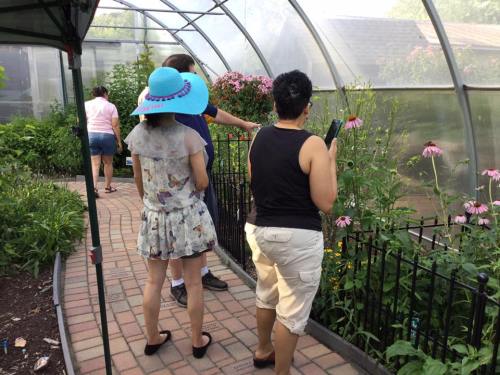 A group of people exploring a greenhouse filled with flowers, walking along a brick path.