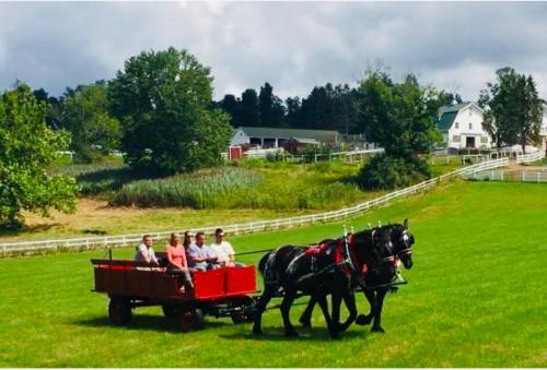 A horse-drawn wagon carries passengers across a green field, with a farm and trees in the background.