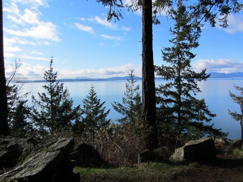 A serene lake view framed by tall trees under a clear blue sky, with distant mountains on the horizon.