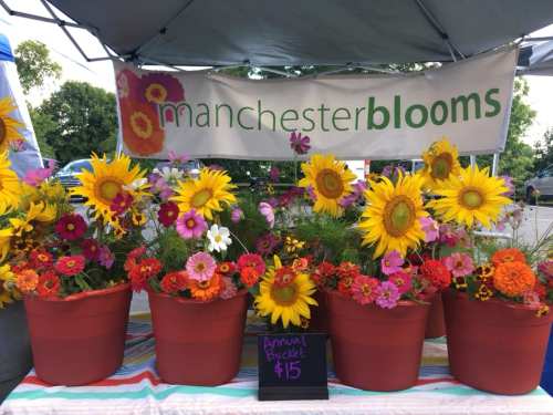 Colorful flower display at a market stall, featuring sunflowers and other blooms, with a sign for "manchester blooms."