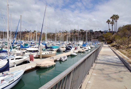 A marina filled with sailboats and yachts, lined by a walkway and palm trees under a cloudy sky.