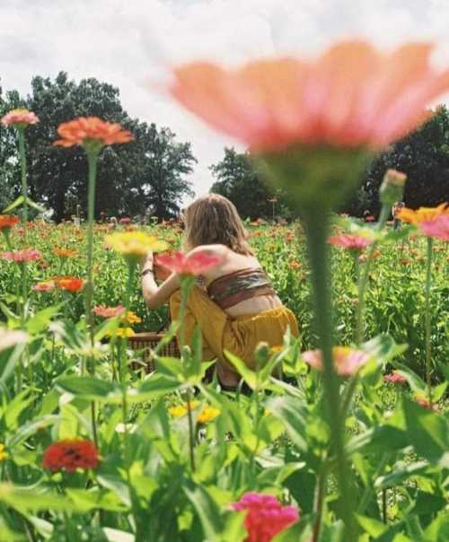 A person sits among colorful flowers in a vibrant field, capturing the beauty of nature on a sunny day.