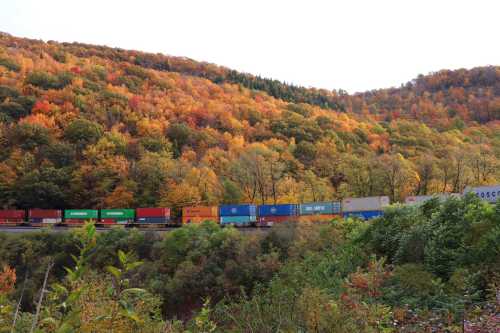 A freight train with colorful containers travels through a vibrant autumn landscape of trees with orange and yellow leaves.